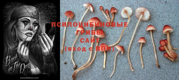 бутират Абаза