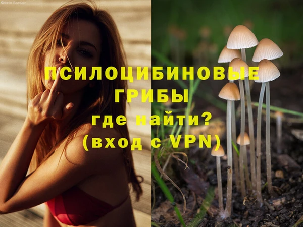 гидропоника Алзамай