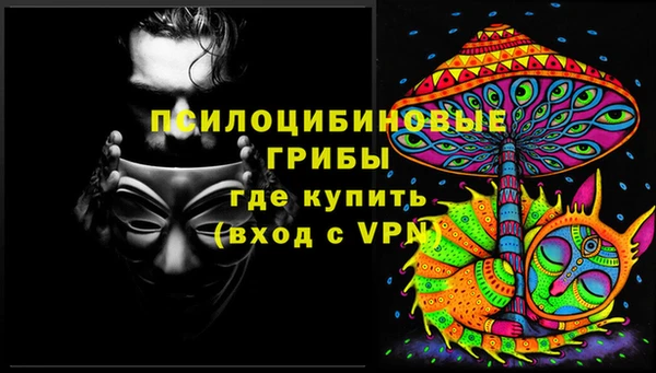 прущие грибы Абдулино