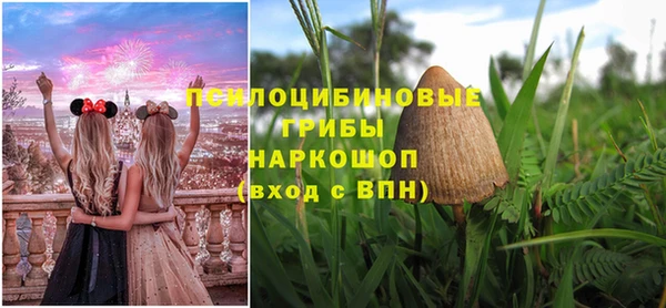 прущие грибы Абдулино