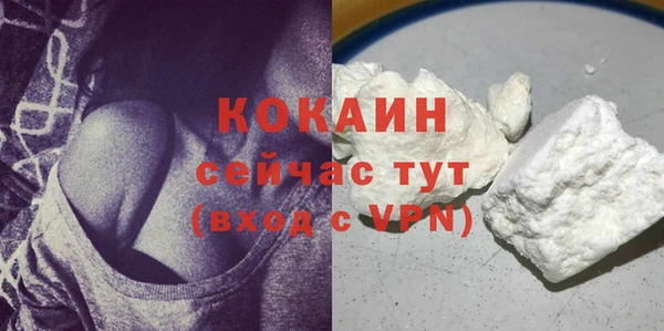 прущие грибы Абдулино