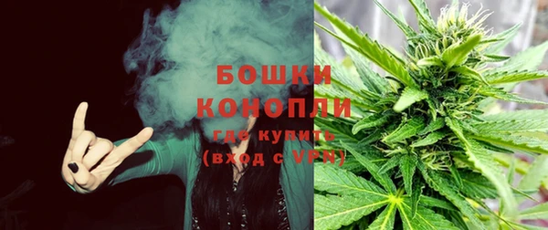 прущие грибы Абдулино
