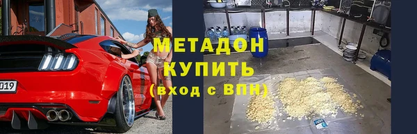 индика Алексин